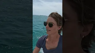 sometimes cruising stinks! have you watched our last video yet? #bahamas #boatlife #sailing