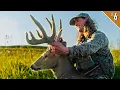 Download Lagu CHASING Down a BUMPED Buck! - Multiple Bucks in BOW RANGE!