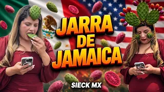 JARRA DE JAMAICA - Sieck Mx 🇲🇽 