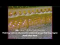 Download Lagu Quran - Surah (Chapter) 99: Az-Zalzalah (The Earthquake) [English Translation] Ali Jaber علي جابر