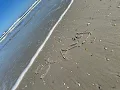 St Augustine Beachfront Rental