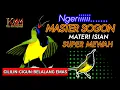 Download Lagu FULL materi isian mewah Masteran sogon tembakan cililin Vs bren cigun \u0026 belalang emas