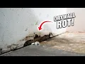 How To Fix Rotten Moldy Drywall From Water Damage DIY For Beginners