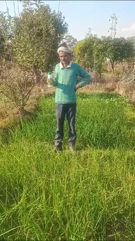 कांगड़ा के किसान मदनलाल ने प्याज की फसल के लिए नैनो यूरिया को क्यों बताया जरूरी| वनइंडिया हिंदी