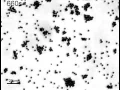 Active matter random walk of clusters