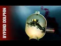 How Did a Tiny Hole Kill 4 Divers