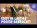 Download Lagu Hoe GASVRIJ is Soest? Eddy Zoëy zoekt het uit! | Hoe gasvrij is Nederland? #4