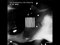 In the Mood (Extended Mix)