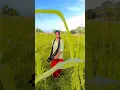 Download Lagu Hamko Hamise Chura Lo #viralvideo #youtubeshorts #song #shortvideo