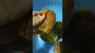 الجزء الخامس من فيديو كيفية تقشير التين الشوكي دون دخول الشوك في اليد 