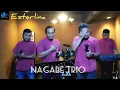 Download Lagu Esterlina || Cover : Nagabe Trio || Ronni Pangaribuan