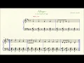 Allegro Suzuki D+ to play with Violin and Cello