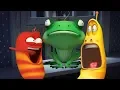 Download Lagu LARVA - FROG WRESTLING | Cartoon Movie | Cartoons | Comics | Larva Cartoon | LARVA Official