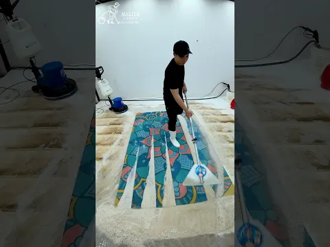 This is your sign to watch the whole thing. π #relax #carpetcleaning