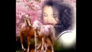 حنان ماضي امايا ياما شدي الضفاير عصبينيوجروب اغاني الزمن الجميل حليم 1 240p 