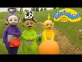 Download Lagu Teletubbies | Oh It's A Naughty Bee! Go Away! | Shows for Kids