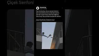 Seni Bulmaktan önce Aramak Isterim Seni Sevmekten önce Anlamak Isterim Seni Bir Yaşam Boyu Bitir 