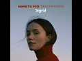 Download Lagu Sigrid - Home To You (This Christmas)