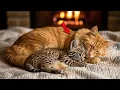 Download Lagu My Cat Brought Home a Bobcat Cub—And What Happened Next Touched Everyone’s Heart