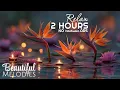 Relaxing Spa Music for Sleep Massage Music Water Sounds Deep Relaxation