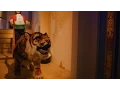 Download Lagu Behind the scenes bij de Efteling-grap met tijger in Fata Morgana - Efteling