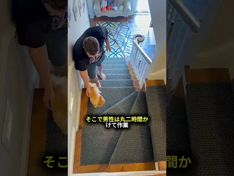 家族全員を驚かせた愛犬の行動！ 🐶😱