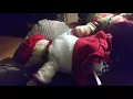 Download Lagu Ziva Christmas video