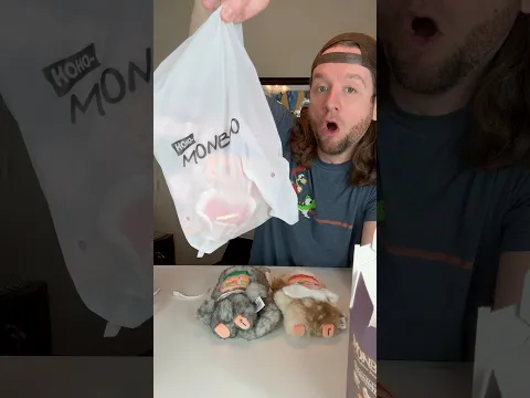It’s the BEST one!