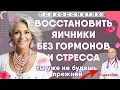 Lagu Как восстановить яичники и продлить молодость