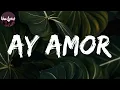 𝑨𝒚 𝑨𝒎𝒐𝒓 (𝑳𝒆𝒕𝒓𝒂) - 𝑮𝒖𝒂𝒚𝒂𝒄á𝒏 𝑶𝒓𝒒𝒖𝒆𝒔𝒕𝒂