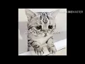Download Lagu Biết Em Chưa Thể Quên Trương Ngôn