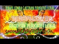 Lagu 🔶🔸TERAPI LOMBA GACORAN PERKUTUT LOKAL 🔸🔶