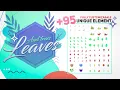 Leaf and Tree Elements for Motion Graphics After effects