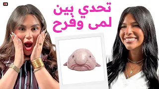 فرح رشدي في تحدي "يا تصيب يا تخيب" مع لمى مروان  | تحديات مزاج