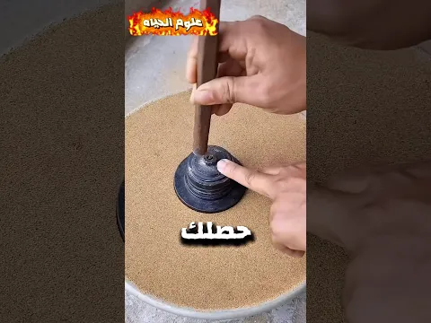 حصلك مع جدك