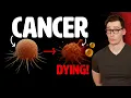 Download Lagu Vitamin C destroys aggressive Cancers when paired with THIS Easy Nutrition Protocol!
