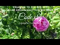 sOs Net - Code org