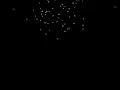 Alphabets Rain coding