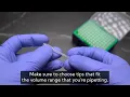 Universal Pipette Tips - Filtrous