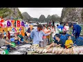 Download Lagu Đảo Cát Bà Nổi Tiếng Nhất Hải Phòng║Làng Chài Nổi Cổ 7000 Năm