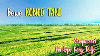 Download Bowo Konco Tani//Pendopo Kang Tedjo MP3