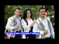 Download Lagu Marilena Soare si Formatia Traditional colaj muzica petrecere romaneasca 2025