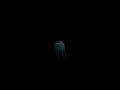 Post Malone Ft Ariana Grande - Midnight Echos cut ver
