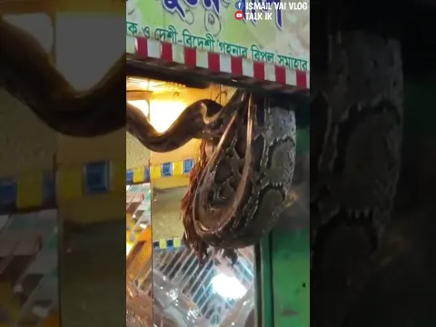 স্বর্ণের দোকানে এত বড় অজগর সাপ কোত্থেকে আসলো