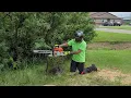 elm removal ms 362 and ms 400 comparison