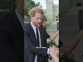 How much are Harry and Meghan worth