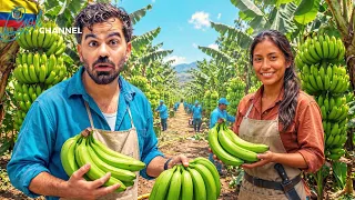 Beeraha Muuska Ugu wawayn Aduunka - Ecuador 🇪🇨 - Muqdisho labaad .