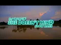 Download Lagu DJ SHE DOESN'T MIND VIRAL TIKTOK 2023 - DJ MALVIN