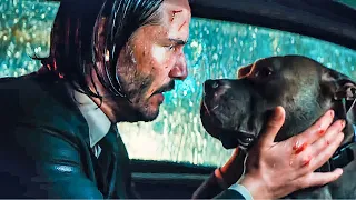 جون ويك بيـنتقم من عصابة كاملة بعد ما قـتلوا الكلب بتاعه قدامه ملخص جميع اجزاء John Wick 