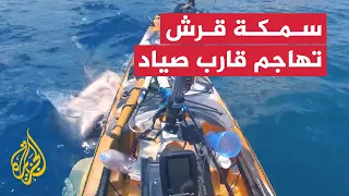 مشهد مروع لمهاجمة سمكة قرش قارب صيد صغير في أمريكا 